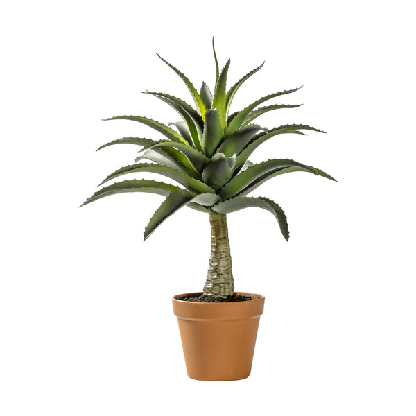 Faux Potted Agave - Green