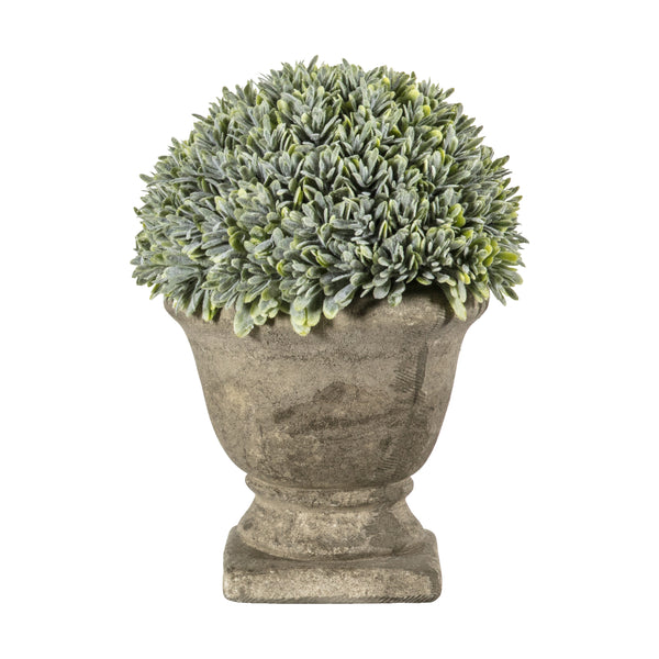 Boxwood with Stone Effect Urn - Green