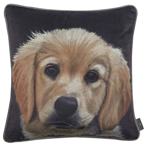 Butter Painted Dog Cushion