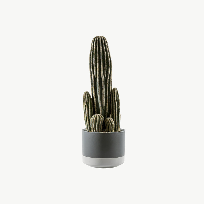 Faux Cactus San Pedro with Cement Pot - Green