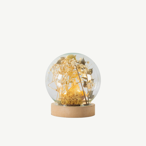Dried Florals Globe With Led - Green