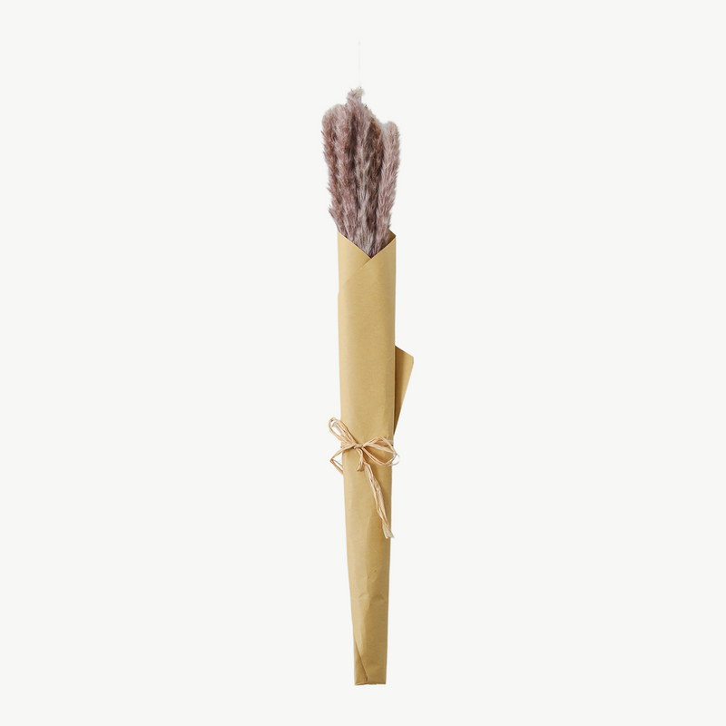 Dried Reed Grass Bundle - Purple