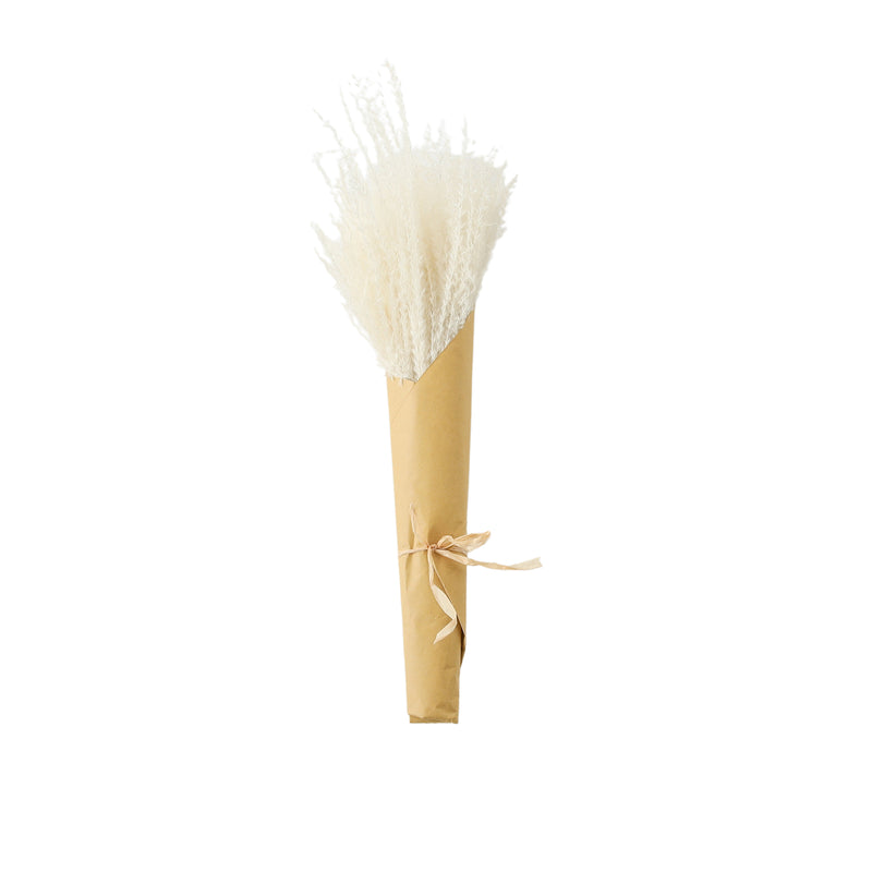 Dried Reed Grass Bundle - White