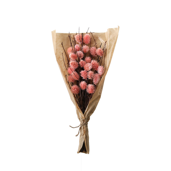 Dried Thistle Bundle in Paper Wrap - Pink