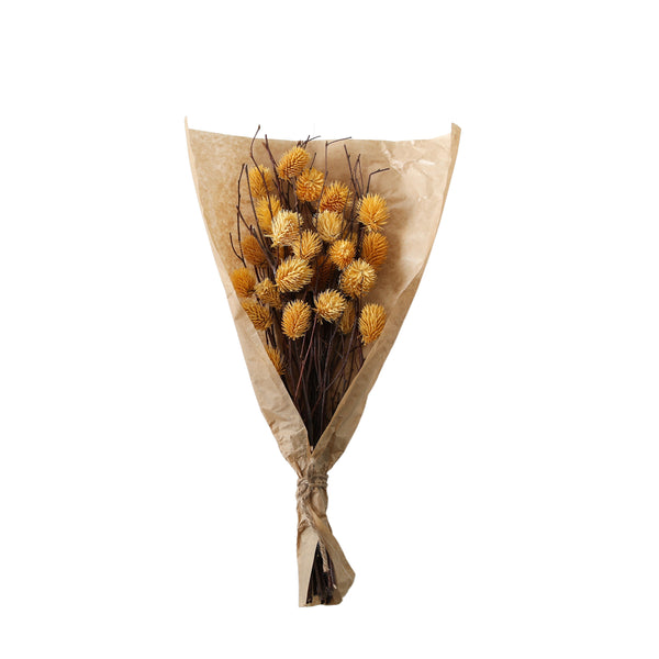Dried Thistle Bundle in Paper Wrap - Yellow