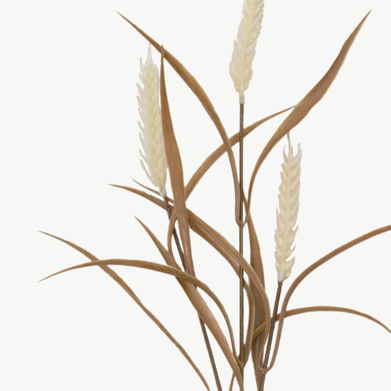 Dry Wheat Stem 6Pk