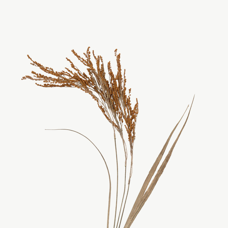 Dry Wheat Stem - Brown