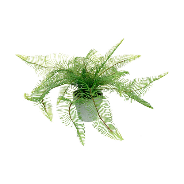 Potted Fern Feather - Green
