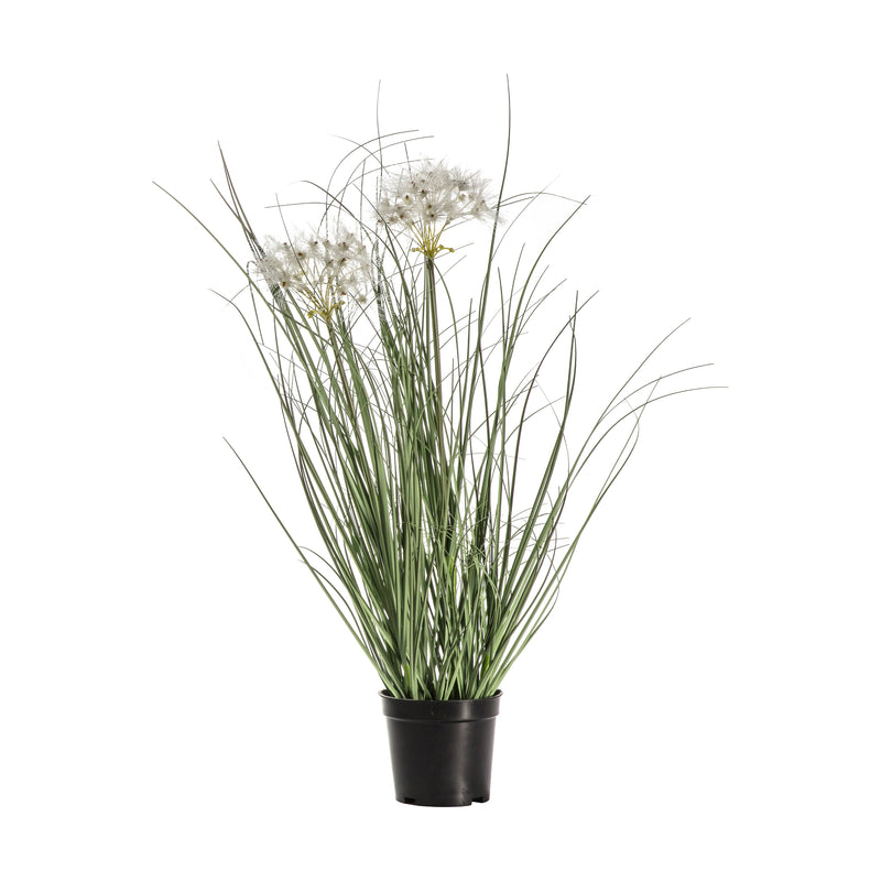 Potted Grass with 2 Heads - Yellow