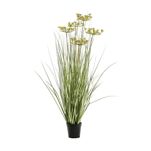 Potted Grass with 5 Heads - Green