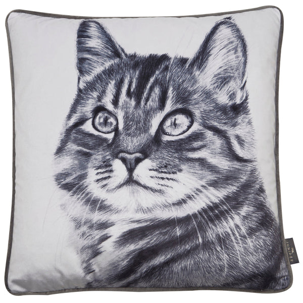 Printed Cat On Velvet Cushion