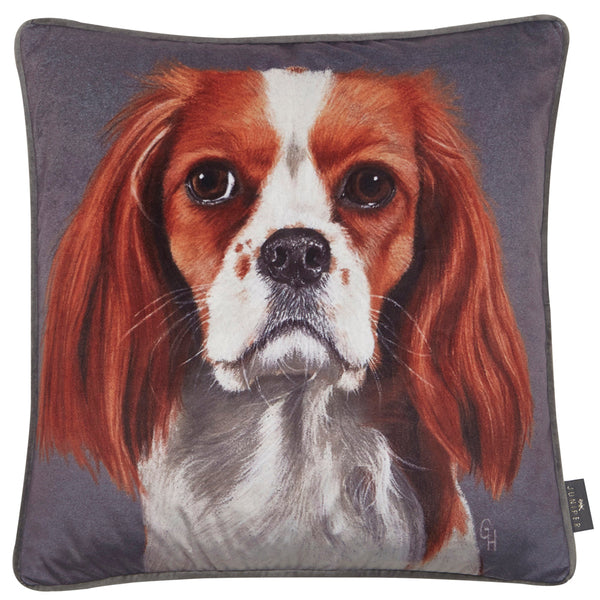 Printed Spaniel On Velvet Cushion