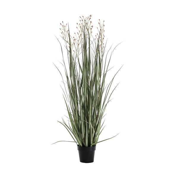 Potted Grass w/7 Heads - Green / Russet