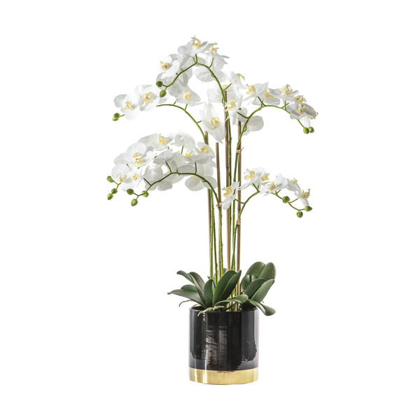 Orchid w/Pot - Black / Gold / White