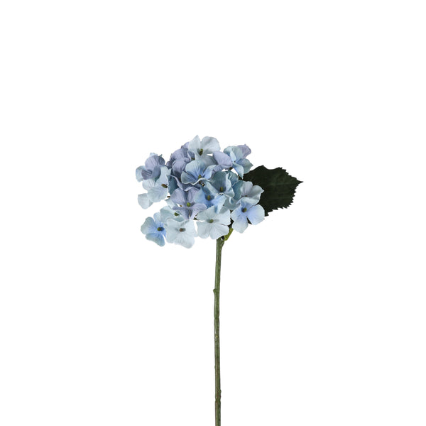 Hydrangea Stem (12pk) - Blue