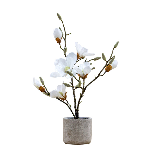 Potted Magnolia (real touch) - White