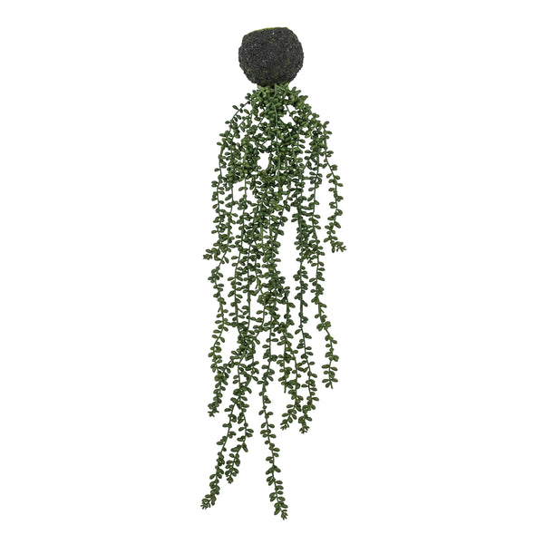 String of Pearls in Soil - Green