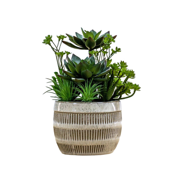 Potted Succulents Ceramic Pot - Brown / Green