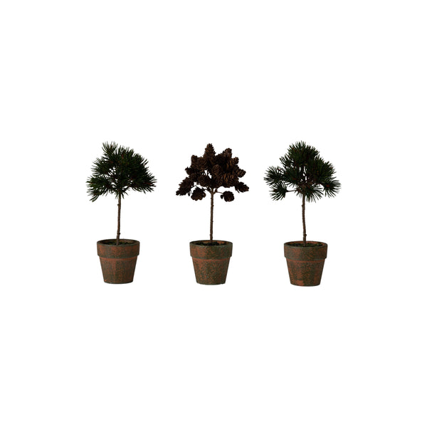 Potted Pine/Cone Trees (Set of 3) - Multi