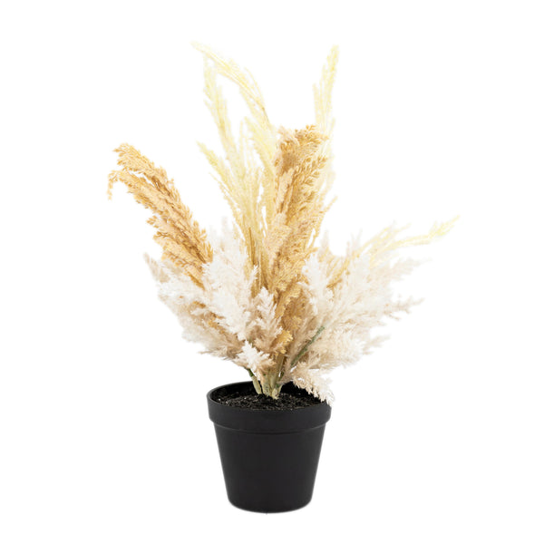 Potted Dry Grass Mix - Grey / Natural