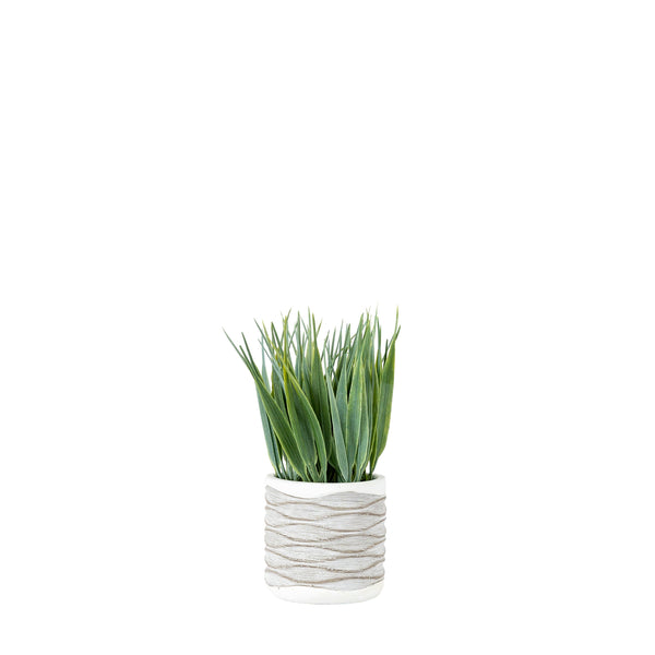 Grass in Wavy Pot (2pk) - Green