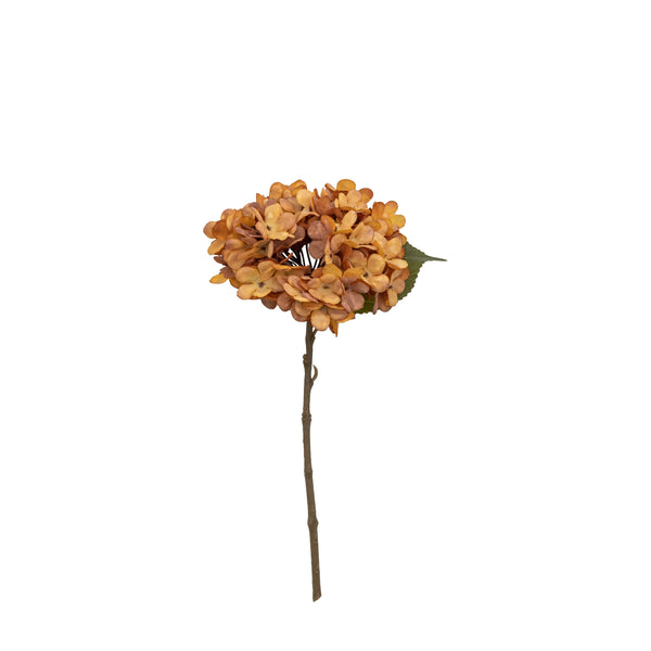 Woodland Hydrangea Stem (6pk) - Russet