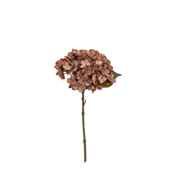 Woodland Hydrangea Stem (6pk) - Chocolate